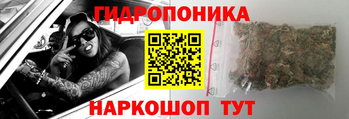 Мичуринск  Бошки Шишки гибрид  Вход с VPN  Каннабис Amnesia  Бошки Шишки тримм 